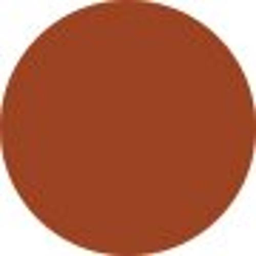 Estee Lauder Melt On Gloss Stick - # 890 MELTED TANGERINE  1.8g