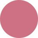 Dasique Juicy Dewy Tint - # 11 Fig Plum  3.5g