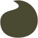 Jane Iredale ColorLuxe Eye Shadow Stick - # Ivy  1.4g