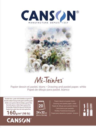 Canson Mi-Teintes Pads White 24 X 32cm 20sht