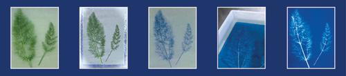 Jacquard Cyanotype Chemistry Ferric Ammonium Citrate 450g