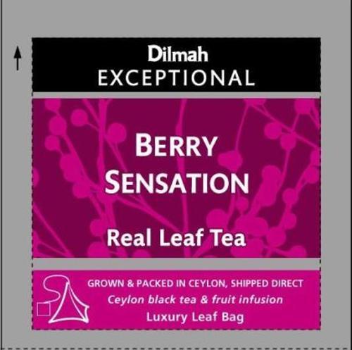 Berry Sensation Ceylon Tea Pyramid Bags Dilmah 50 Pack
