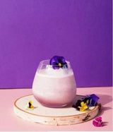 Blueberry Fruit Puree Monin 1L