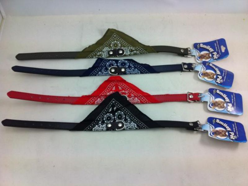 Pets Collar - Assorted Colour (Set of 12)