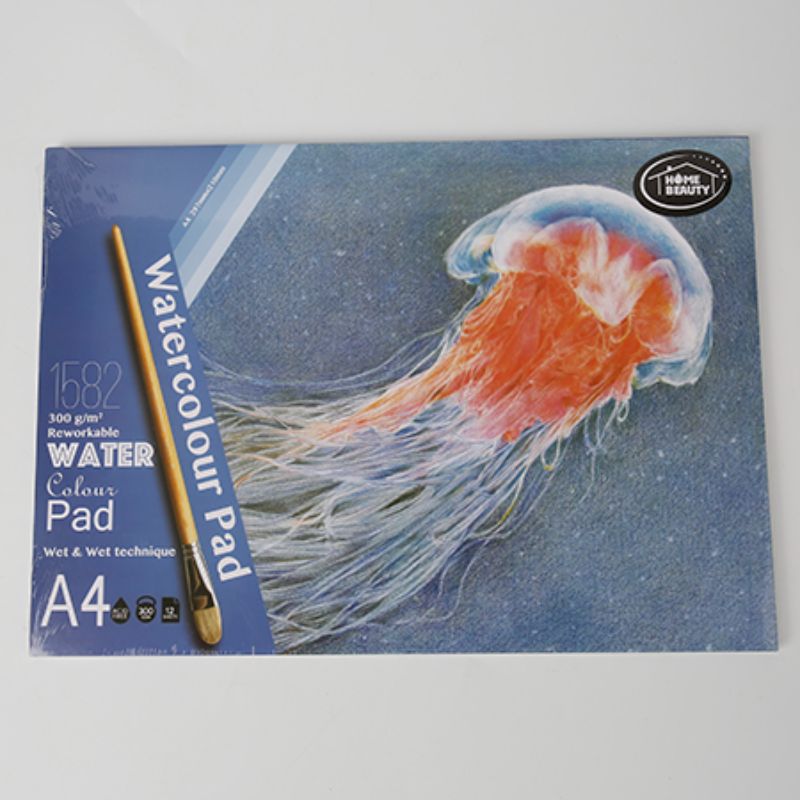 Watercolour Pad - A4 300g 12 Sheets (Set of 12)