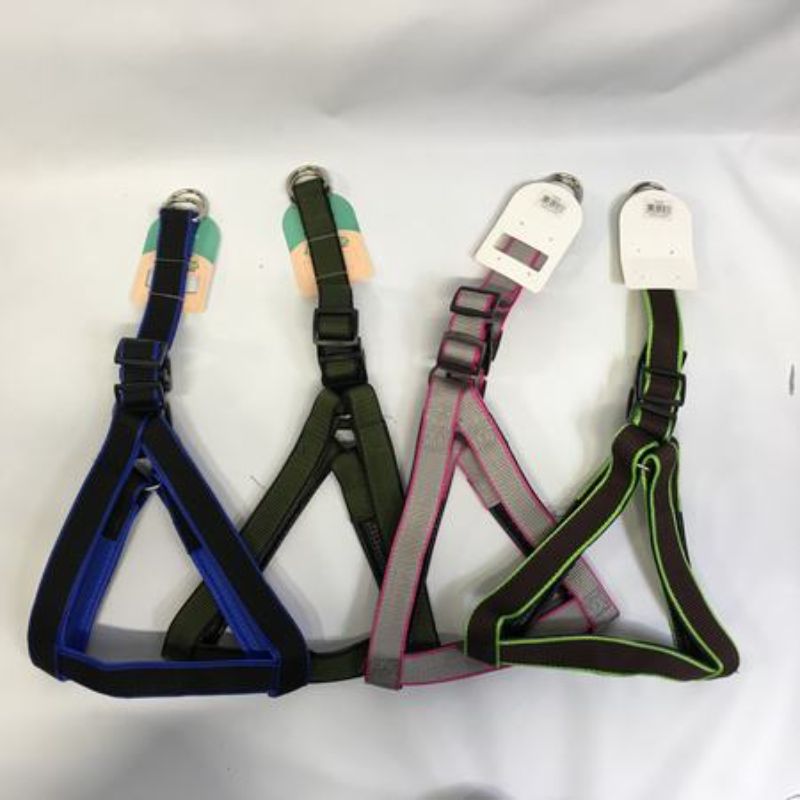 Pet Collar - Assorted 3cm 3 (Set of 12)