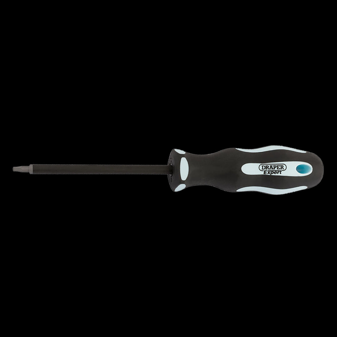 DRAPER Ergo Screwdriver (100mm x SQ1)