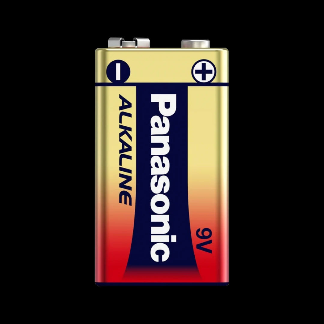 PANASONIC Alkaline Battery 9V - 2 Pack