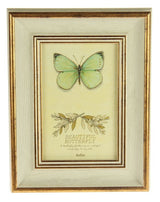 Photo Frame - Hailey MDF Ivory 6"(2 Units)