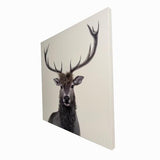 Bad Hair Day Deer Canvas Wall Art 3D Faux Hair 800x800