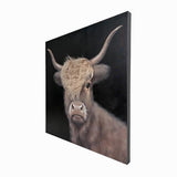 Bad Hair Day Highland Cow Canvas Wall Art 800x800