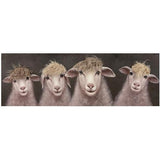 Bad Hair Day 4 Sheep Canvas Wall Art 500x1500