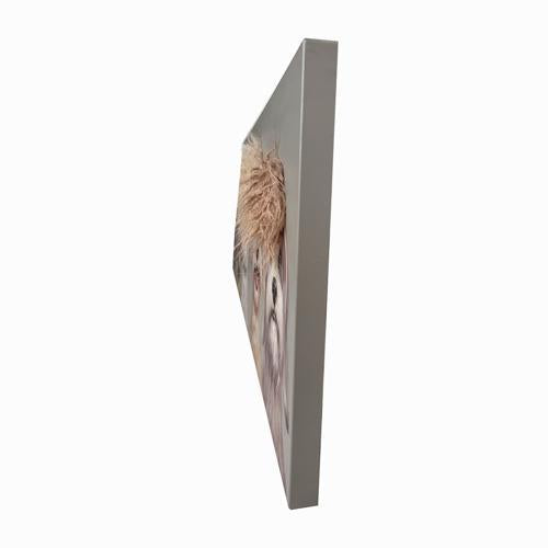 Bad Hair Day 5 Dogs Canvas Wall Art 3D Faux Hair 500x1500