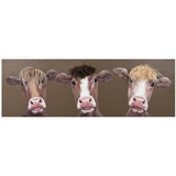 Bad Hair Day 3 Cows Canvas Wall Art 3D Faux Hair 500x1500 - ZL6028