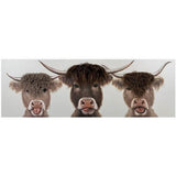 Bad Hair Day 3 Highland Cows Canvas Wall Art 3D Faux Hair 500x1500