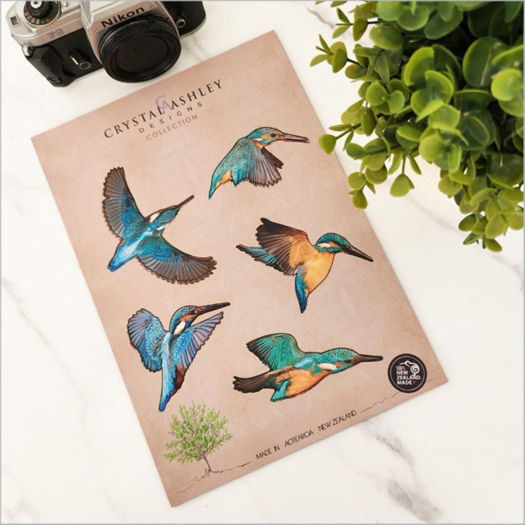 Wall Art - Pop Out Kingfisher Set