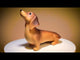Table Lamp - Dachshund (24cm)