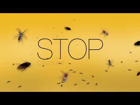 NO Wasps Nest Killer Aerosol - Kiwicare (350g)