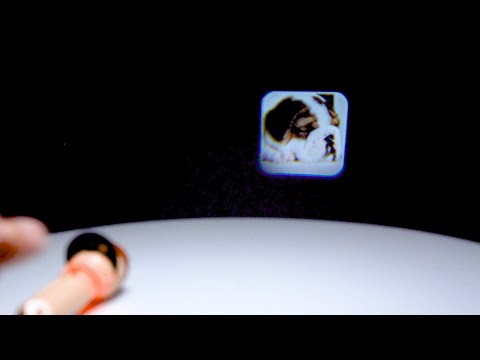 Torch Projector - Dogs (Set of 6)