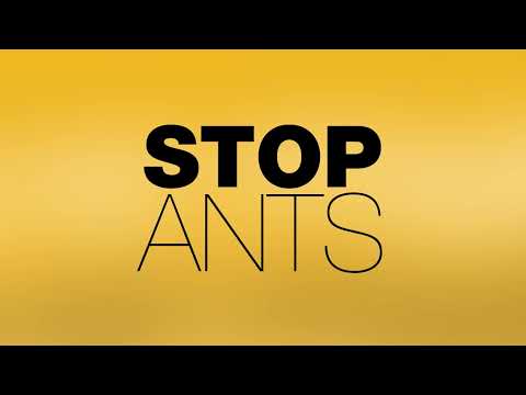 NO Ants Gel Bait Station - Kiwicare (2 Pack)