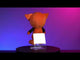 Plush - Gus Fink's Skygor Boogily Heads (10 x 6 x 23cm)
