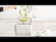 Joseph Joseph - Compo 4 Food Waste Caddy