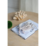 Ornament - White Coral Look Crab ( 27.8 X 18.8 X 6.8cm)