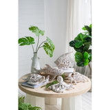 Ornament - White Coral Look Crab ( 27.8 X 18.8 X 6.8cm)