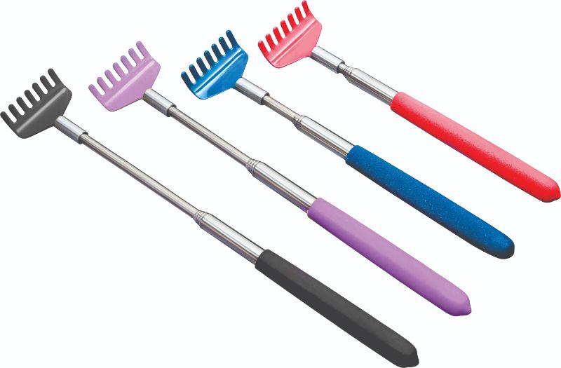 Scratcher - Extendable (Set Of 6 Assorted)