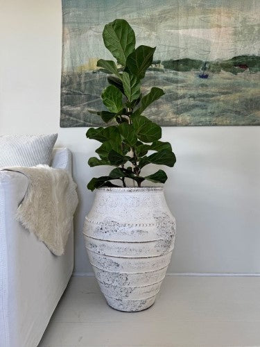 Lombok Pot - Mia Antique Whitewash Large (45 x 60cm)