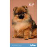 2027 Cats and Kittens Pocket Diary Collins Rosebank 2 Week View Set of 4