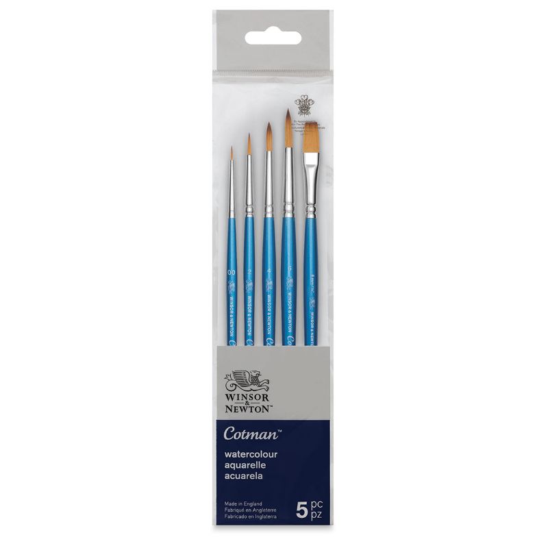 Winsor & Newton Cotman Brush Short Handle V1 - Set Of 5