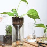 Planter Self Watering Bottle (7 x 7 x 22cm) - Set of 2