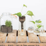 Planter Self Watering Bottle (7 x 7 x 22cm) - Set of 2