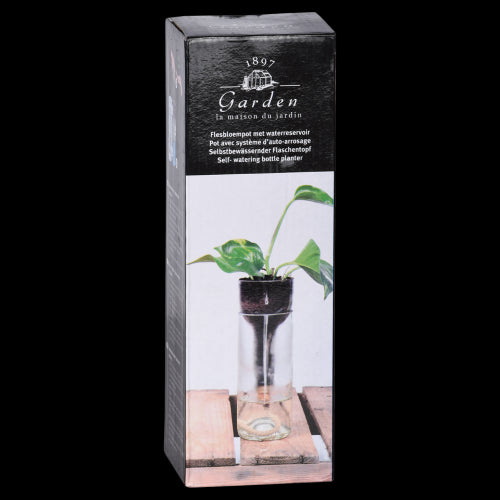 Planter Self Watering Bottle (7 x 7 x 22cm) - Set of 2