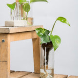 Planter Self Watering Bottle (7 x 7 x 22cm) - Set of 2