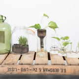 Planter Self Watering Bottle (7 x 7 x 22cm) - Set of 2