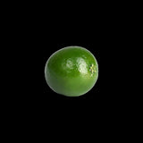 Artificial Lime - 6 x 7 x 6cm (Set of 12)