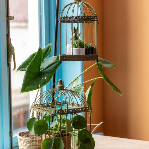 Birdcage - Aged Metal Green (Set of 2)