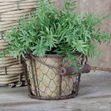 AT Pot in Wire Basket w/ Handle (Set of 2)