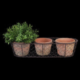 AT 3 Pots in Wire Basket (37 x 13 x 10cm)