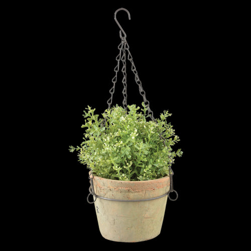 AT Hanging Pot - Large (17 x 12cm)