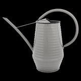 Watering Can - Indoor (Assorted)