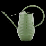 Watering Can - Indoor (Assorted)