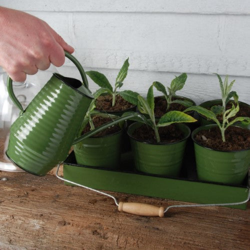 Watering Can - Indoor (Assorted)