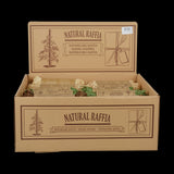 Raffia - 3 Colour Assorted (36pcs)