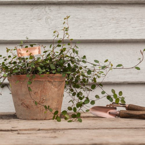 Copper Plant Labels (Set of 6)