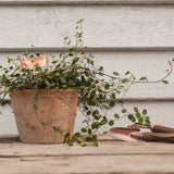 Copper Plant Labels (Set of 6)