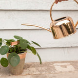 Copper Plant Labels (Set of 6)