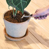 Indoor Garden Rake - 15cm (Set of 3)